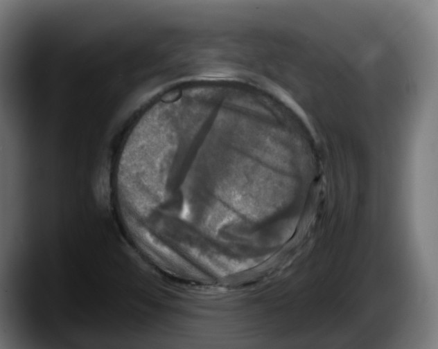 X0000087541456200705251710