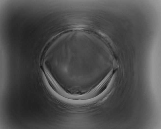 X0000087541457200705251710