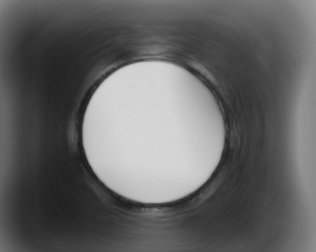 X0000087541458200705251710