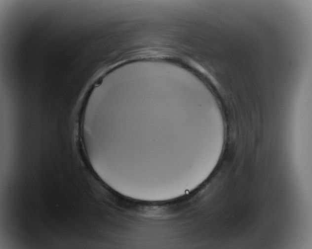 X0000087541459200705251710