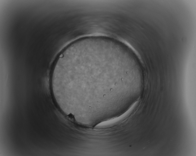 X0000087541460200705251710