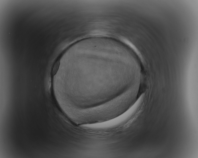 X0000087541461200705251710