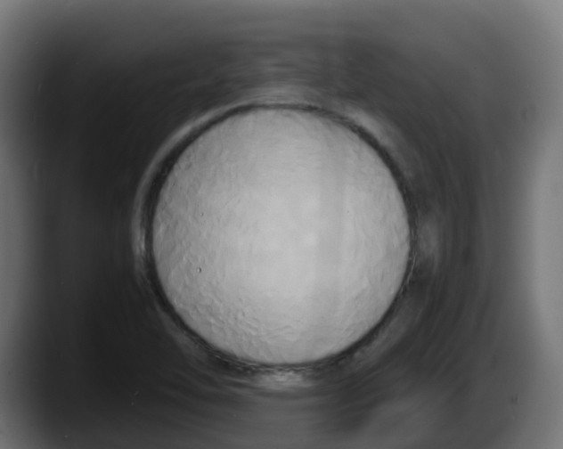 X0000087541462200705251710