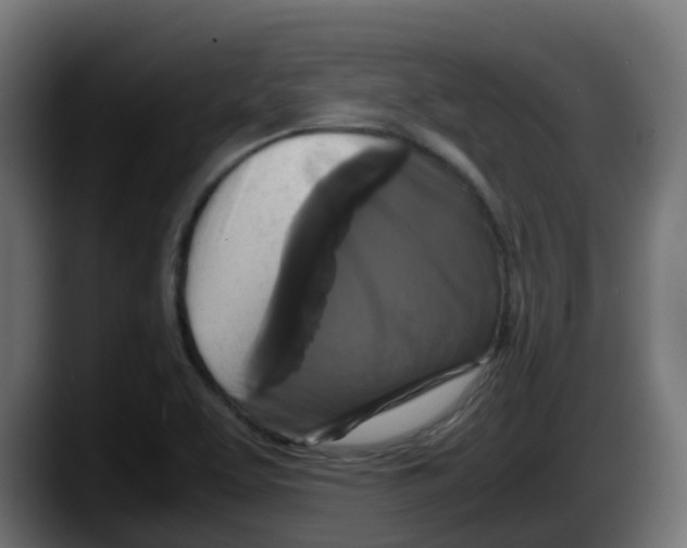 X0000087541463200705251710