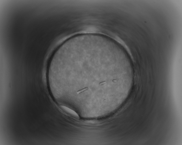 X0000087541464200705251710