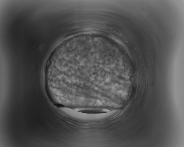 X0000087541467200705251710