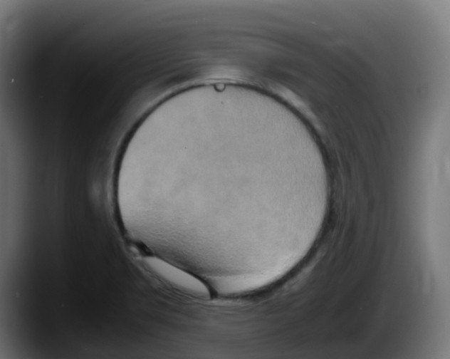 X0000087541469200705251710