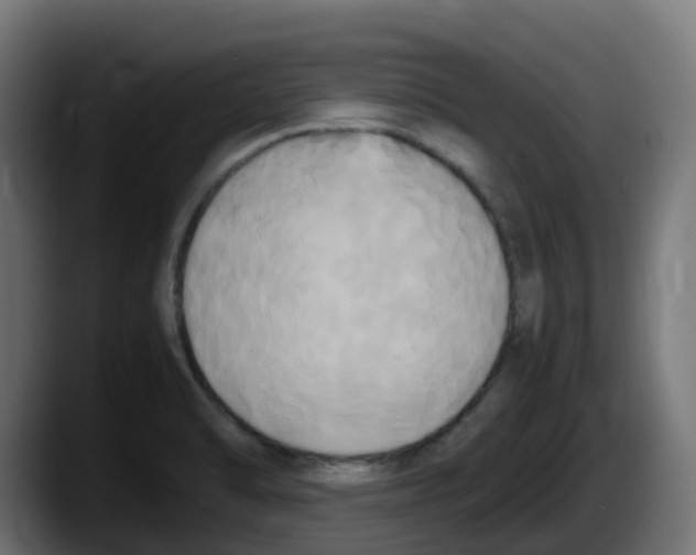 X0000087541470200705251710