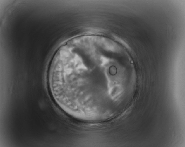 X0000087541471200705251710