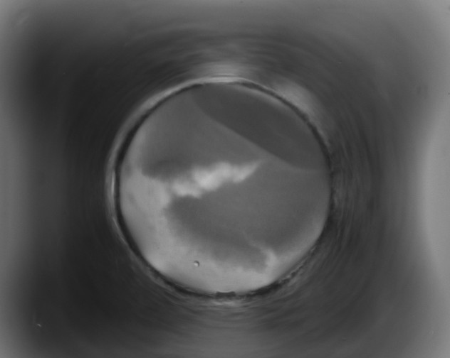 X0000087541472200705251710