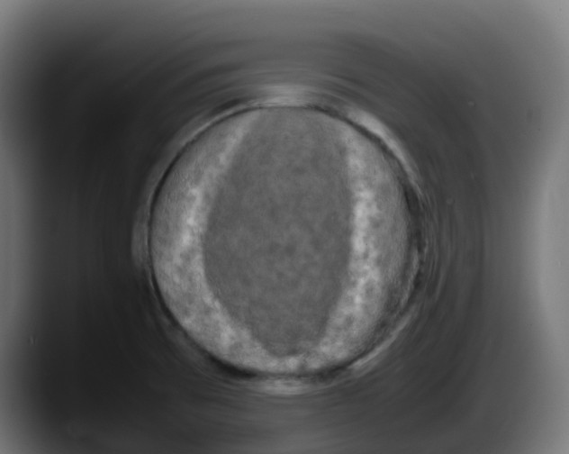 X0000087541473200705251710