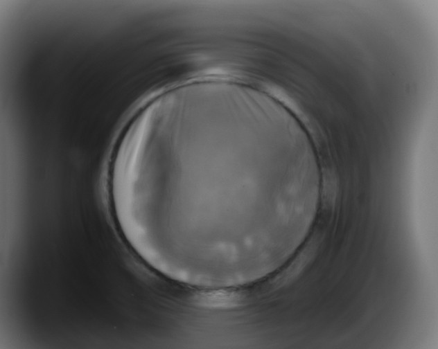 X0000087541474200705251710