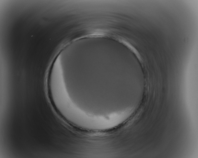 X0000087541475200705251710