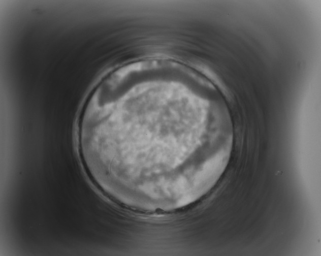 X0000087541476200705251710