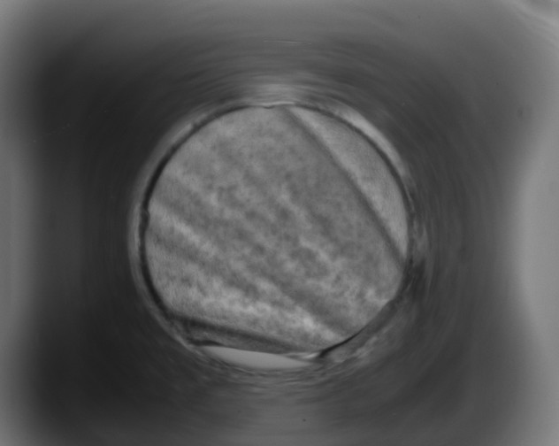 X0000087541477200705251710