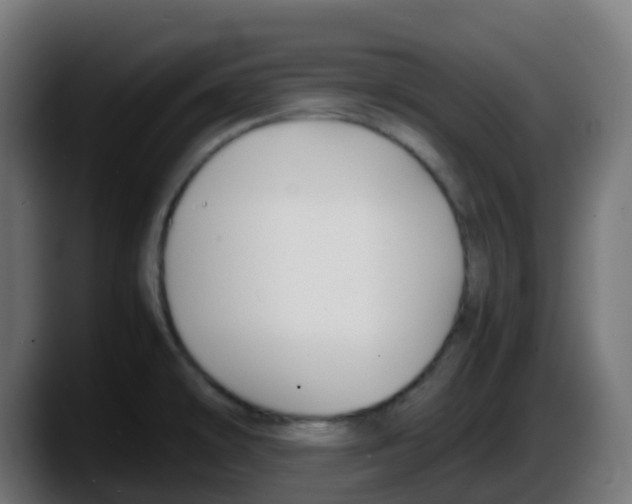 X0000087541478200705251710