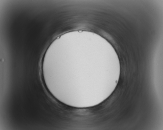 X0000087541479200705251710