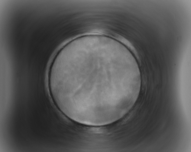 X0000087541480200705251710