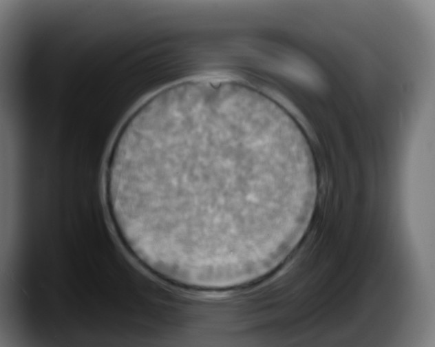 X0000087541484200705251710