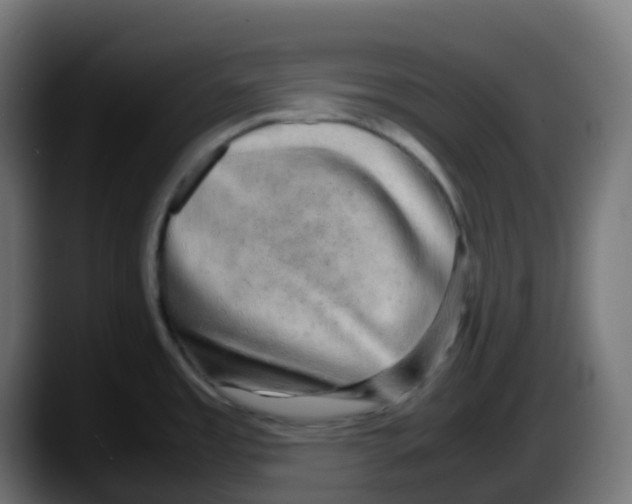 X0000087541485200705251710