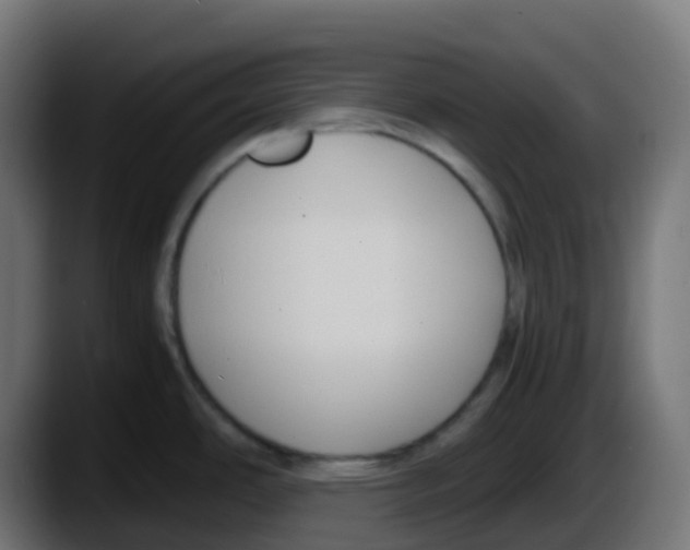 X0000087541486200705251710