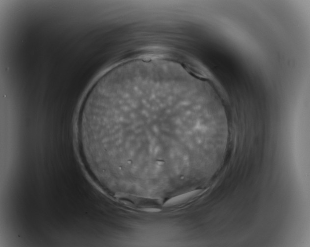 X0000087541487200705251710