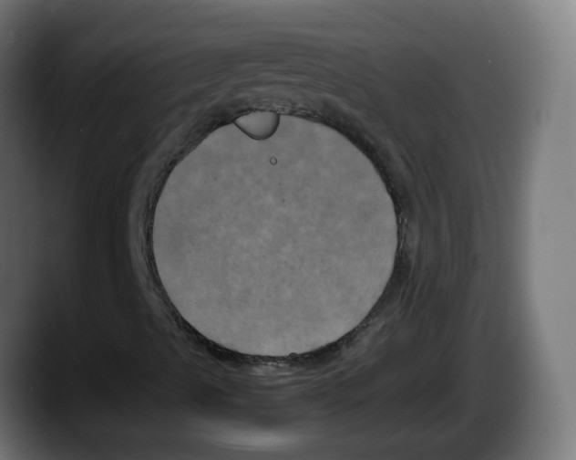 X0000087541489200705251709