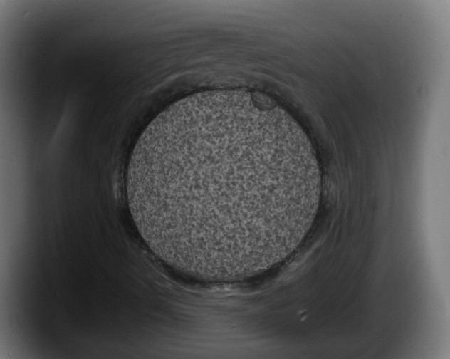 X0000087541490200705251709