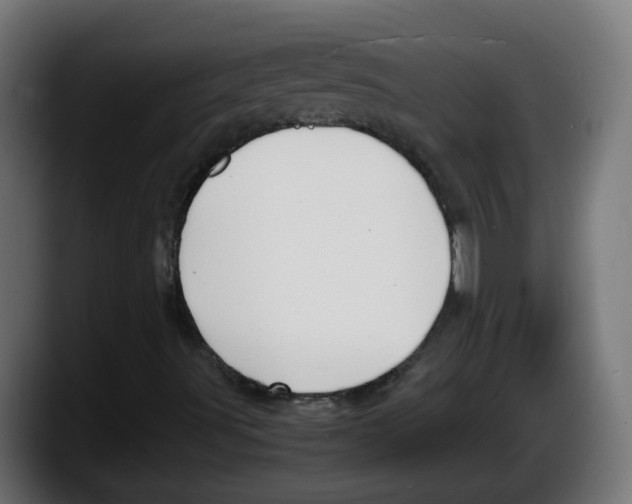 X0000087541491200705251709