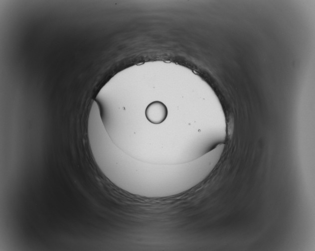 X0000087541492200705251709