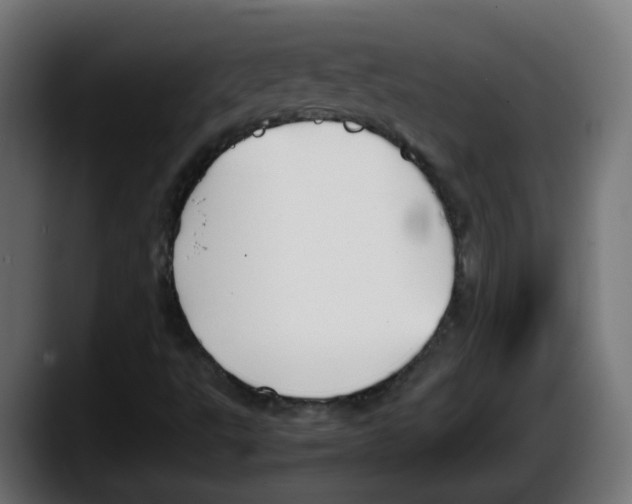 X0000087541495200705251709