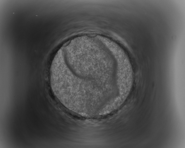 X0000087541496200705251709