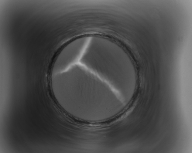 X0000087541497200705251709