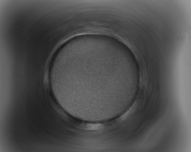 X0000087541498200705251709