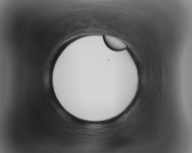 X0000087541499200705251709