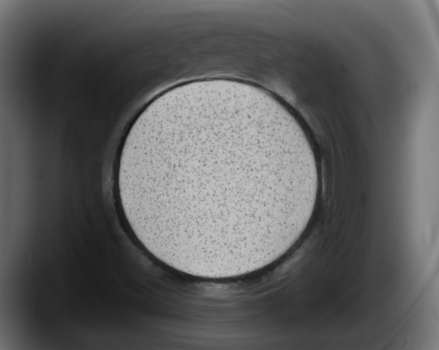 X0000087541500200705251709