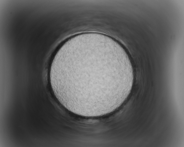 X0000087541503200705251709