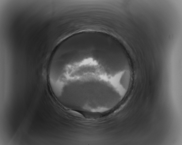 X0000087541505200705251709