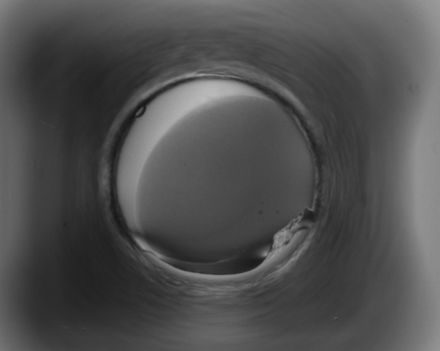 X0000087541506200705251709