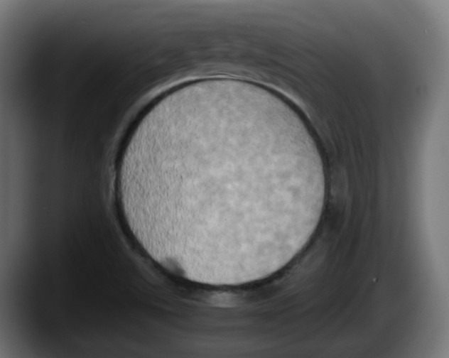 X0000087541507200705251709