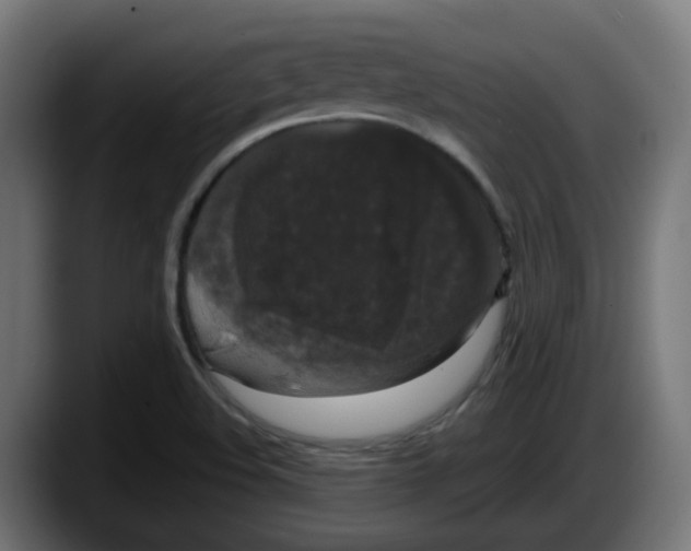 X0000087541508200705251709