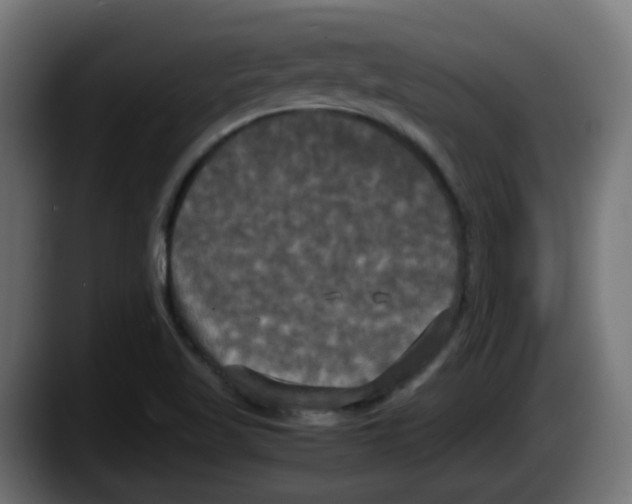 X0000087541509200705251709