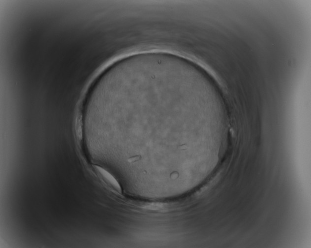 X0000087541510200705251709