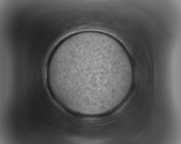 X0000087541511200705251709