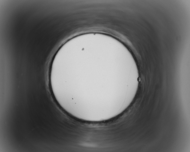 X0000087541512200705251709