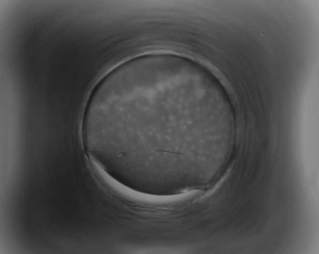 X0000087541513200705251709