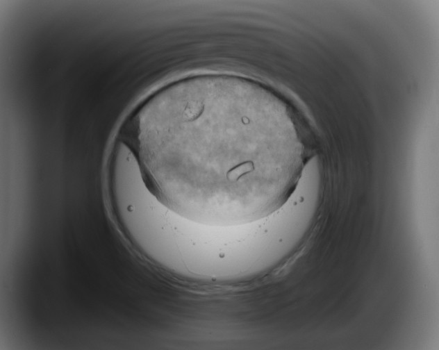 X0000087541514200705251709