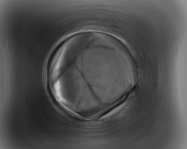 X0000087541515200705251709