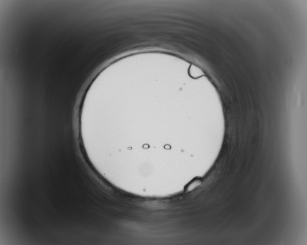 X0000087541516200705251709