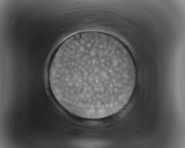 X0000087541517200705251709